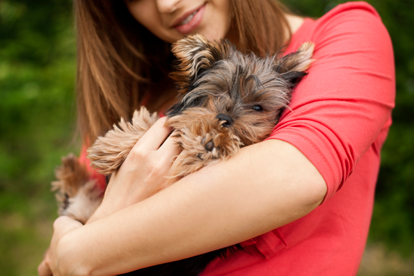 person holding dog