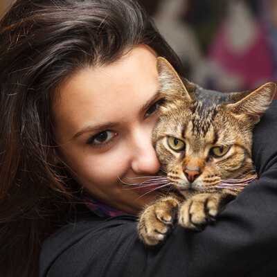 Cat Care in Crofton Maryland - Family Veterinary Clinic