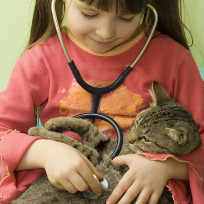 Child and Cat