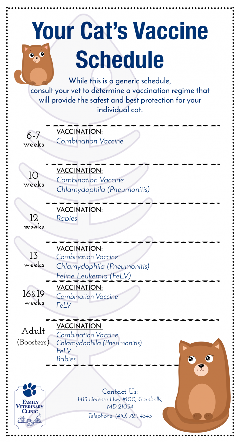 vaccine chart - Cat