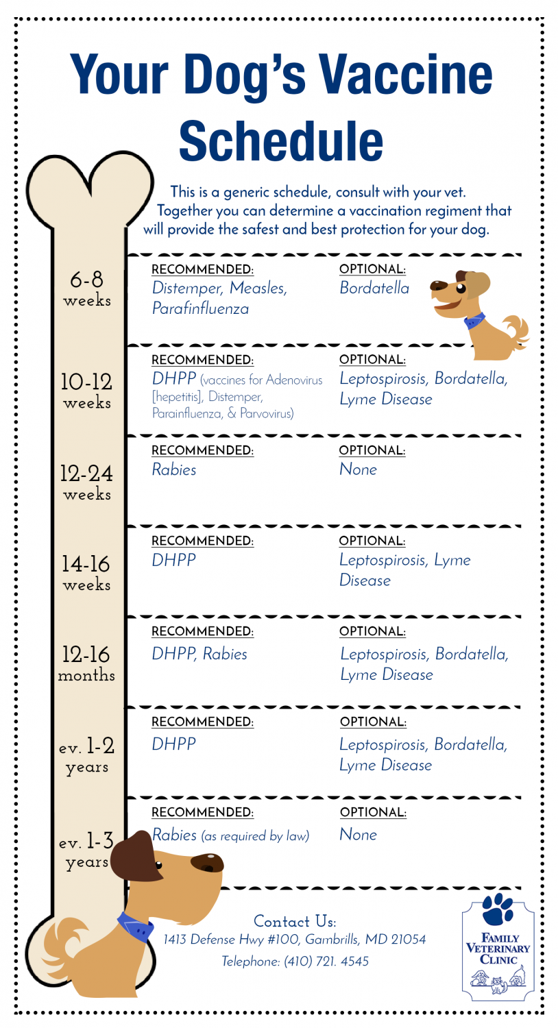 Dog Vaccination Chart Pdf