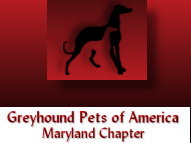 Greyhound Pets of America