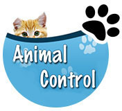 Anne Arundel County Animal Control